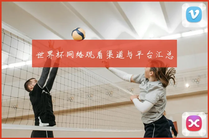 世界杯网络观看渠道与平台汇总