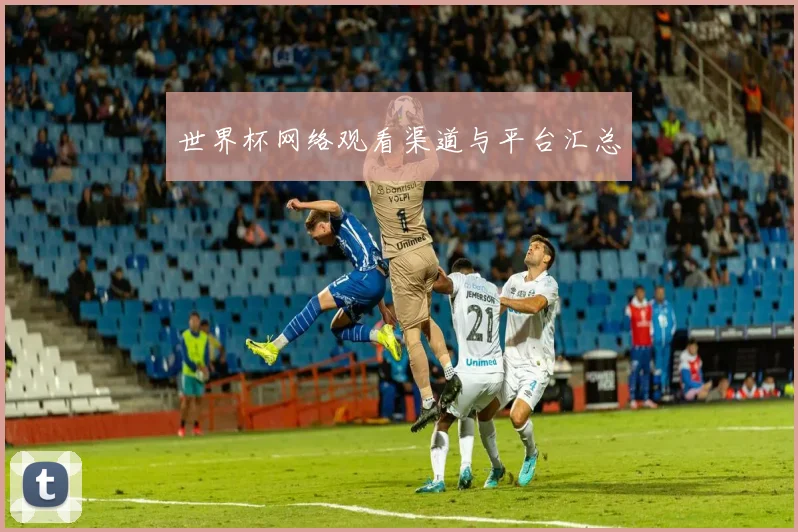 世界杯网络观看渠道与平台汇总