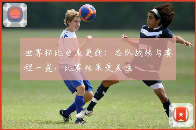 世界杯比分表更新：各队战绩与赛程一览，比赛结果受关注