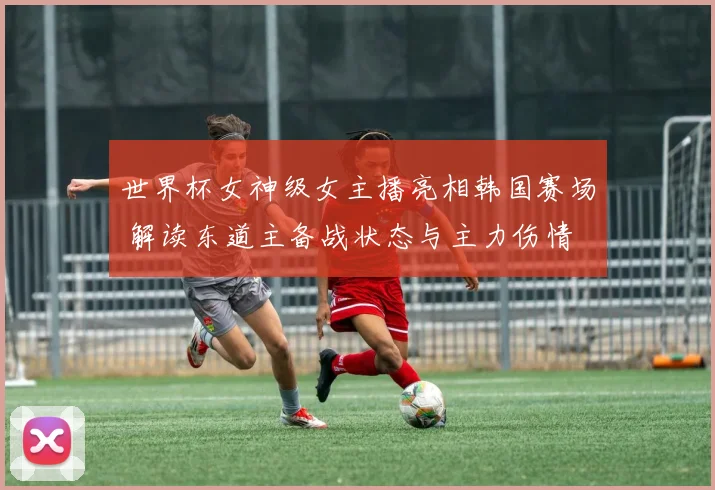 世界杯女神级女主播亮相韩国赛场 解读东道主备战状态与主力伤情