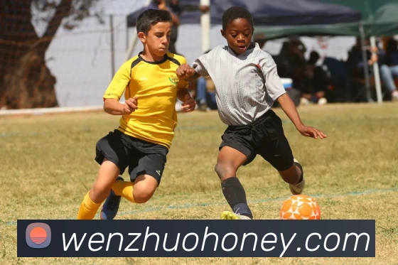 App Interface Preview