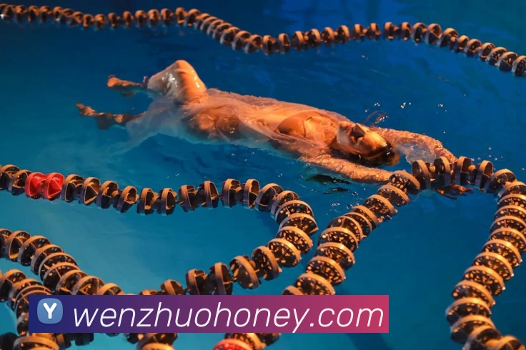 数据防护可视化